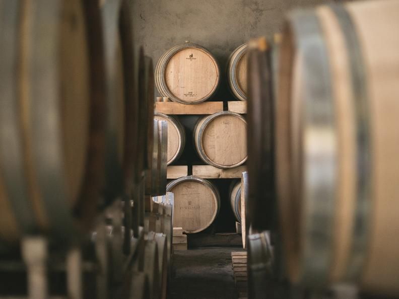 Canton Ticino:  confermato a maggio l'evento Cantine Aperte