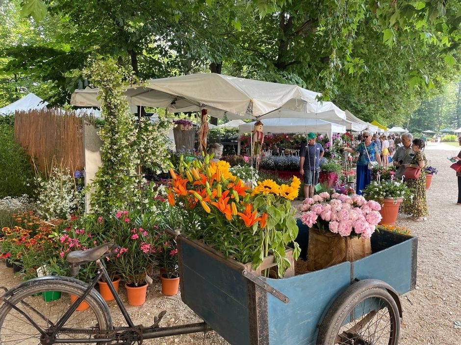 Flor accende la primavera ai Giardini Reali di Torino Flor accende la primavera ai Giardini Reali di Torino