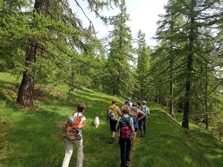 Al via la 2ª edizione delle escursioni guidate nel Parco delle Alpi Liguri.
