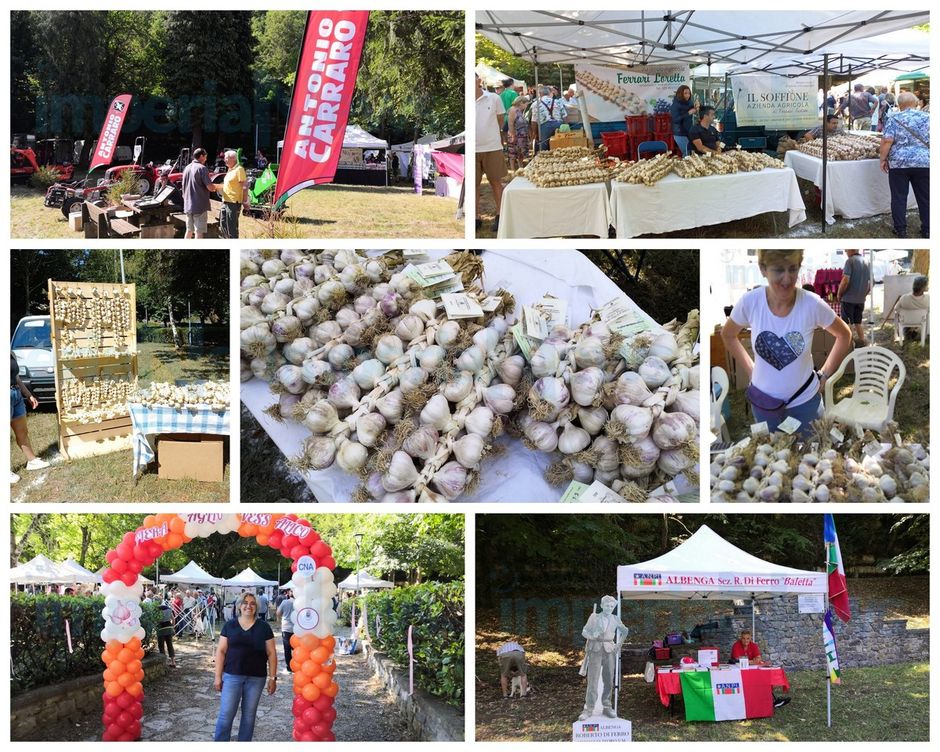 Vessalico: invasione di visitatori già di primo mattino alla 'Fiera dell'Aglio' che si svolge oggi e domani (Foto) Vessalico: invasione di visitatori già di primo mattino alla 'Fiera dell'Aglio' che si svolge oggi e domani (Foto)