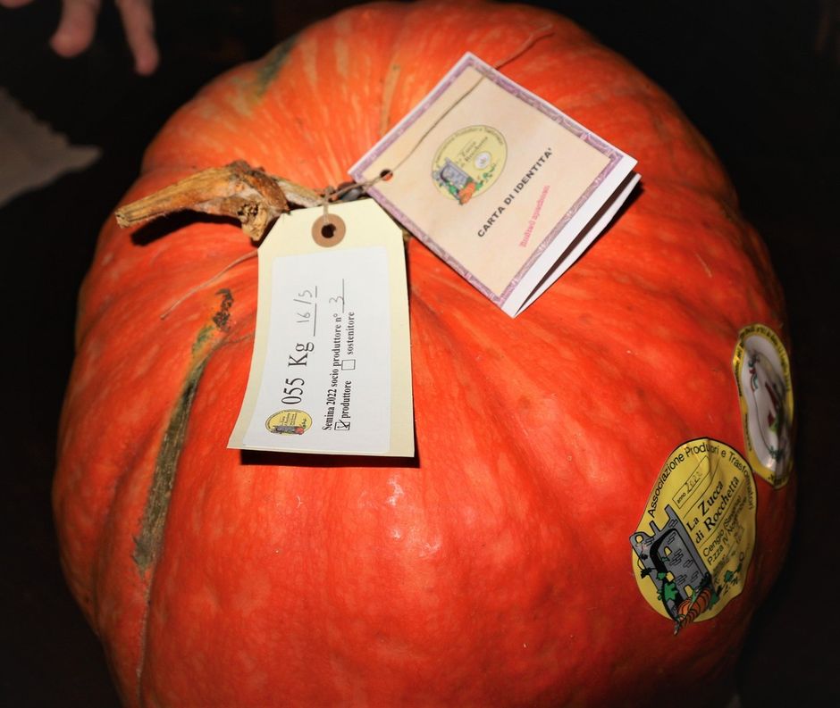 Macine del Confluente di Badalucco: venerdì 3 febbraio serata dedicata alla Zucca di Rocchetta di Cengio