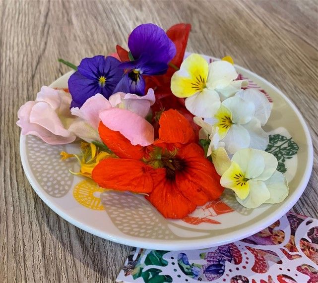 La cucina con i fiori si afferma nelle migliori cucine piemontesi