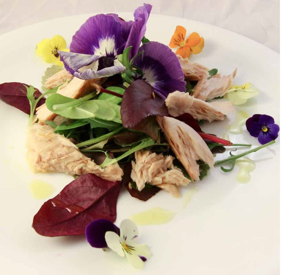I fiori nel piatto: lnsalatina all'erbette spontanee, sgombro e viola del pensiero I fiori nel piatto: lnsalatina all'erbette spontanee, sgombro e viola del pensiero