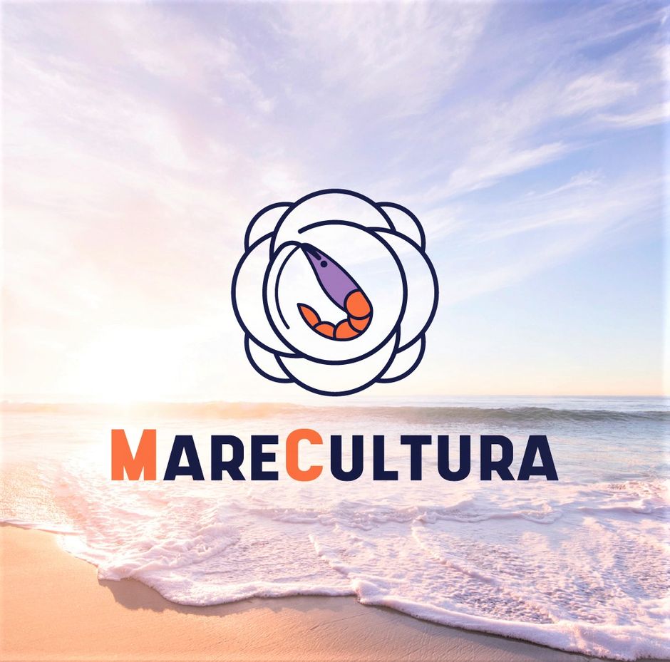 SANREMO: “MareCultura - La Festa del Porto, del Territorio e dell’Eccellenza Artigiana”  sabato e domanica 17-18 a Porto Vecchio