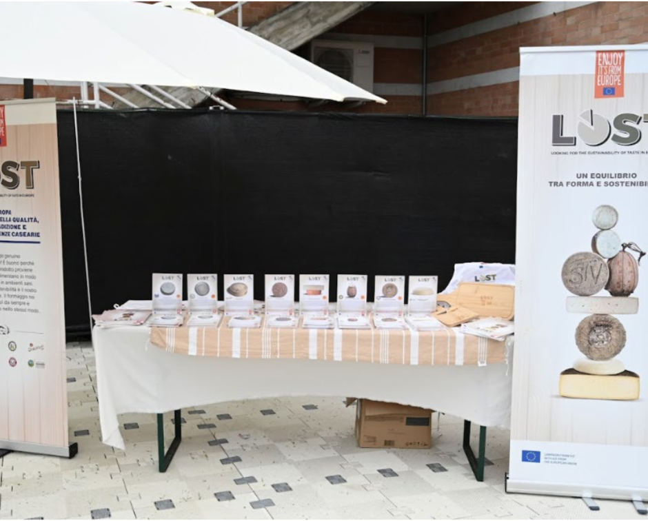 Il Progetto Lost EU protagonista al Festival Collisioni