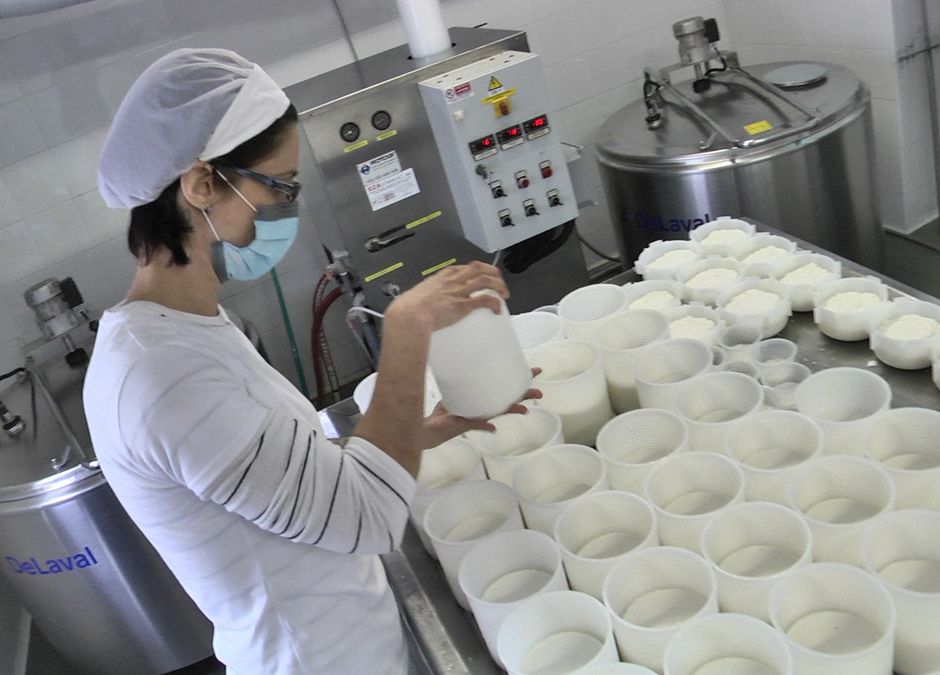 Pigna (IM): la qualità artigianale dei formaggi delle Caprette del Parco