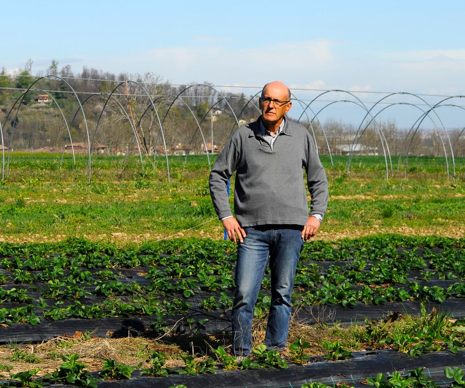 “RADICI – storie di terra” Protezione, sostenibilità e gentilezza in agricoltura: il sovescio