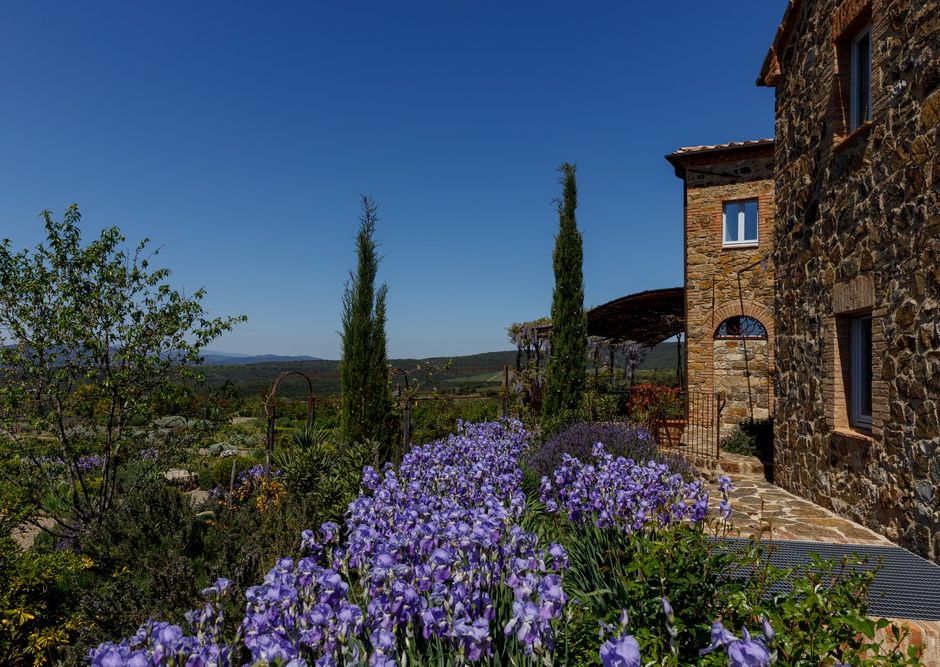 L’azienda del Gruppo Frescobaldi lancia sui mercati internazionali il Lux Vitis 2020 : equilibrio di potenza ed eleganza