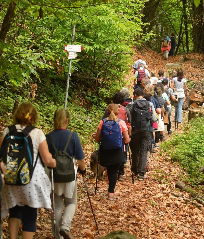 Domenica 12 maggio 2024: Girolago, una camminata guidata sul Lago d’Orta dedicata ad acqua e musica