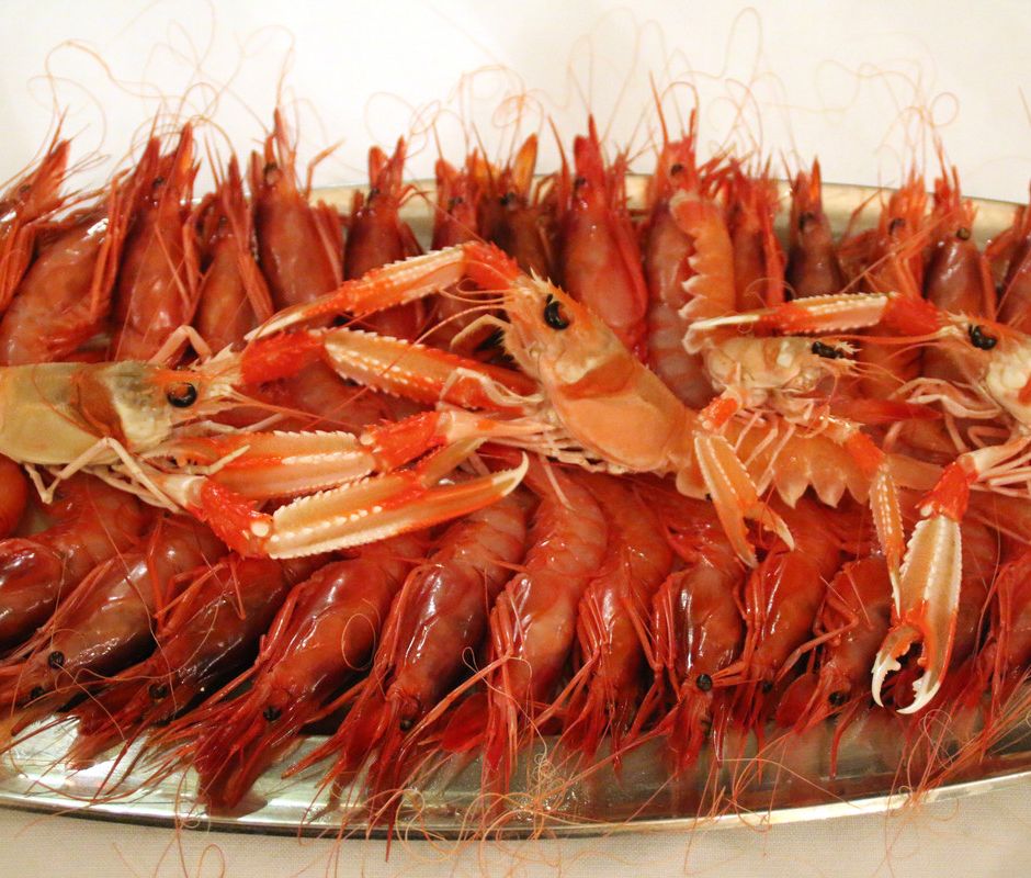 Sanremo (IM): Ittiturismo M/B Patrizia l'indirizzo sicuro per chi vuole gustare il pesce freschissimo e i famosi Gamberi rossi