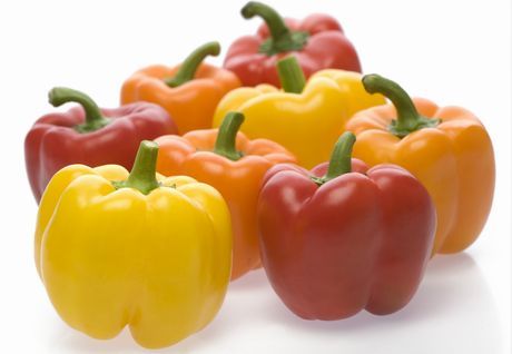 Asti: il &quot;Peperone Quadrato di Motta&quot; diventa presidio Slow Food