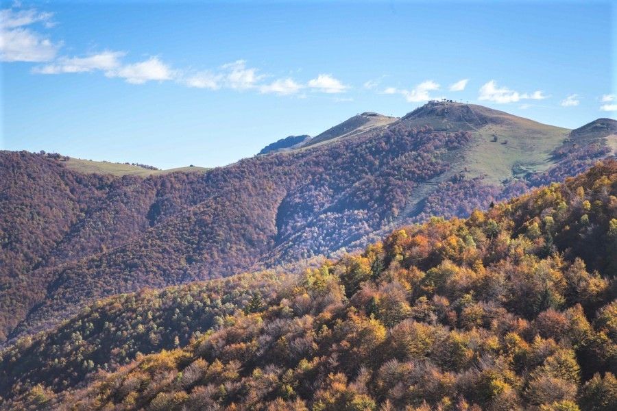 Oasi Zegna - Biella (Piemonte) ottobre è il mese ideale per scoprire la magia del Bosco del Sorriso