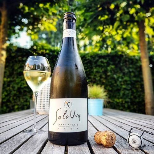 &quot;Solo Uva&quot; il metodo per ottenere un Franciacorta di buona freschezza e di ottima sapidità.