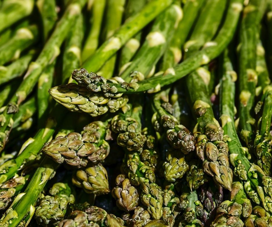 Busto Arsizio (VA): gli asparagi, un tesoro per il palato e la salute