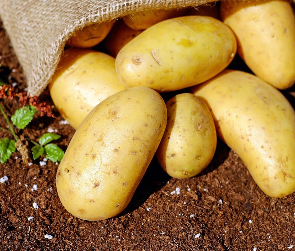 Carne e patate...senza carne e tanta fantasia