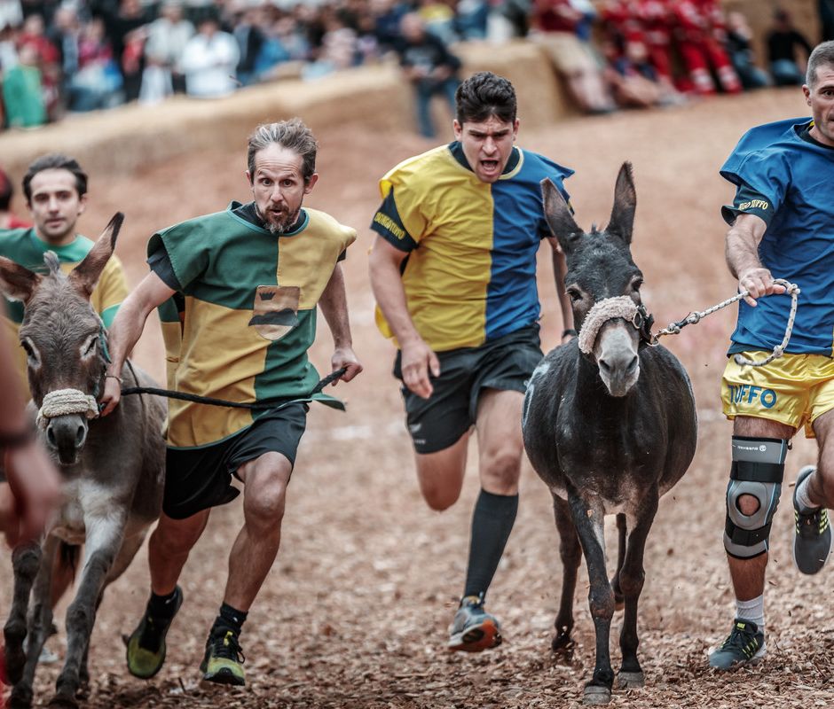 Cocconato d'Asti si prepara per il fine settimana del Palio degli asini