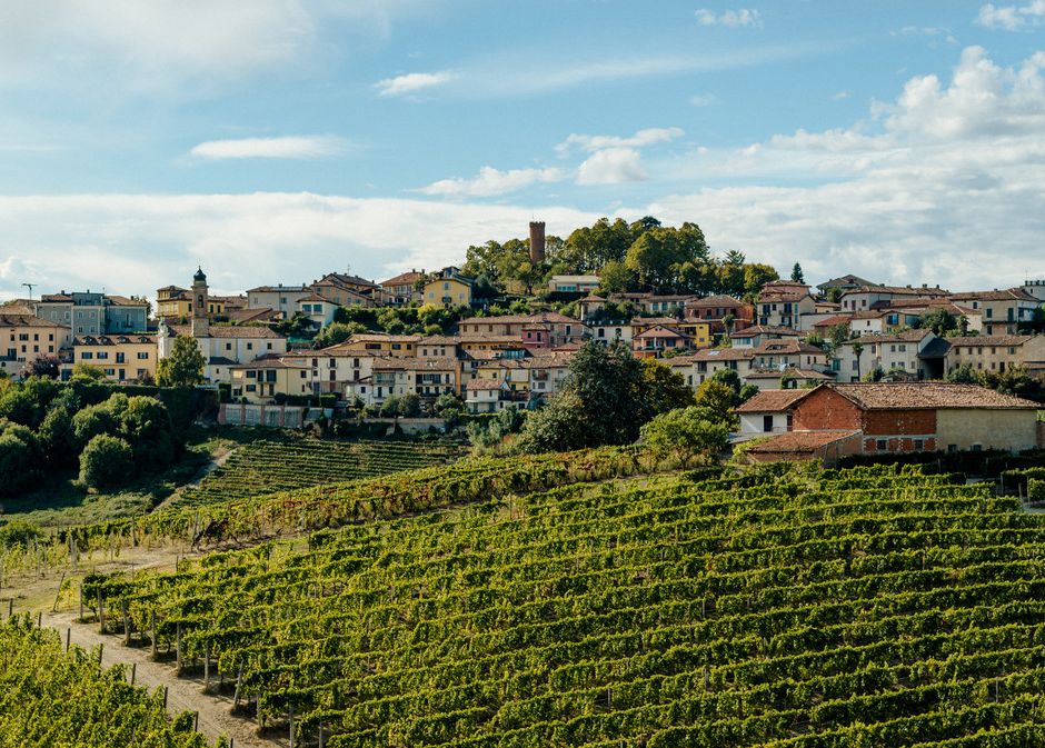 Castagnole delle Lanze (AT): dal 20 al 22 giugno il primo festival dedicato al tartufo nero