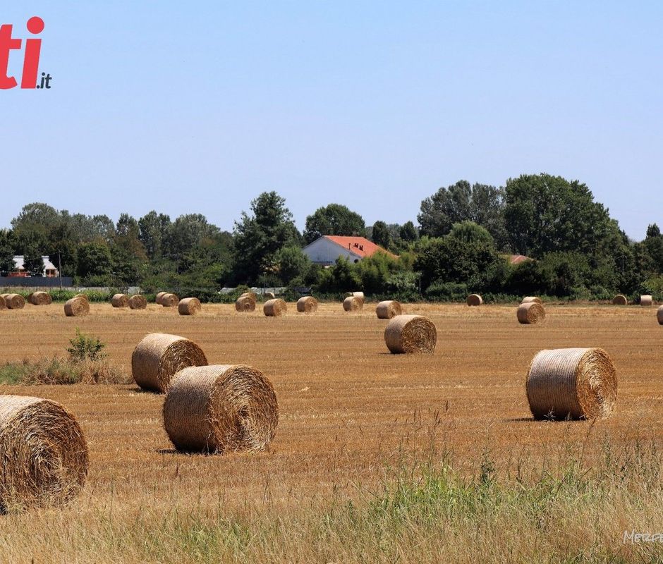 Primo weekend di agosto all'insegna degli eventi nell'Astigiano