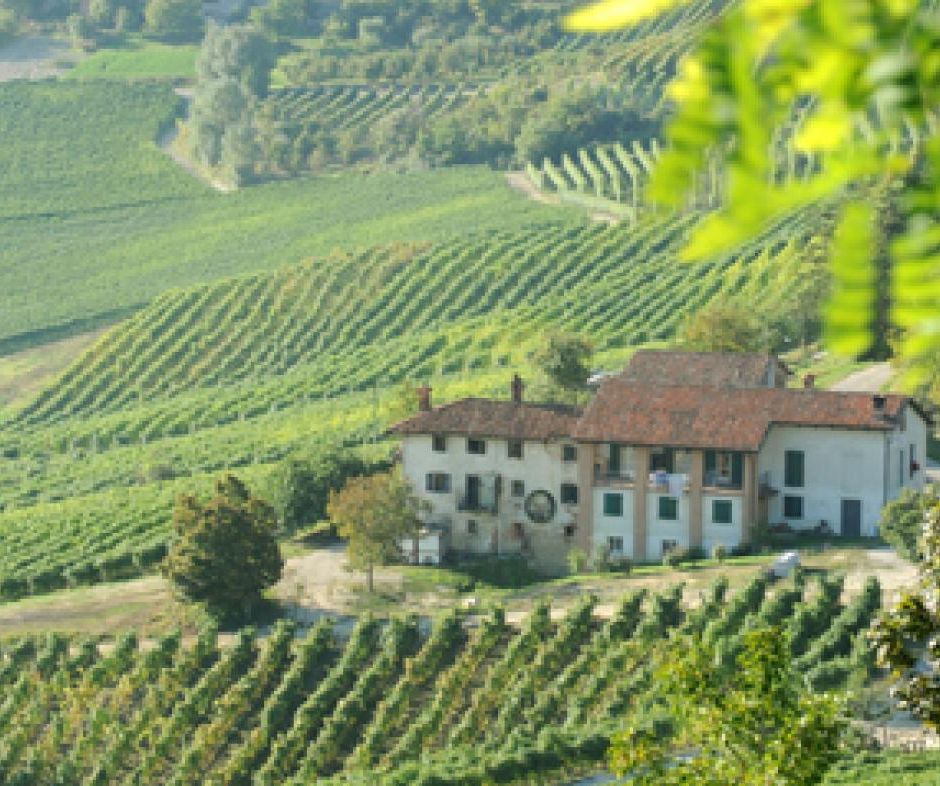 Venerdì 15 gennaio assemblea annuale dei  Paesaggi Vitivinicoli Unesco