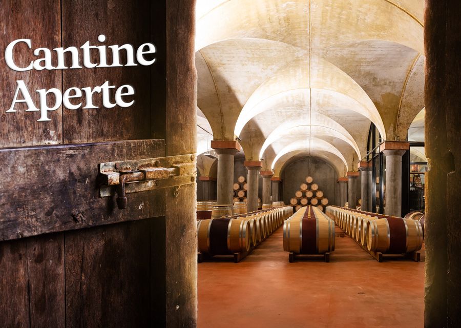 Canton Ticino: &quot;Cantine  aperte&quot; l'occasione per conoscere i produttori e i loro segreti
