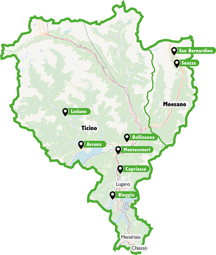 Ticino: una visita al bosco e un concorso