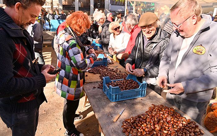 Cagnes si prepara alla Fête de la Châtaigne (Foto)