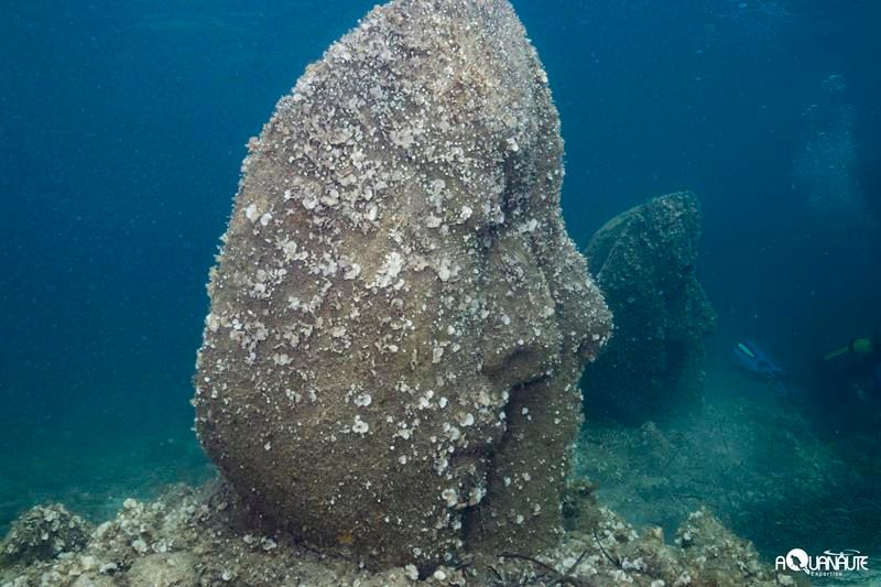 Salvaguardia del Mediterraneo: Cannes sperimenta uno dei più grandi progetti di ripristino della posidonia in Francia