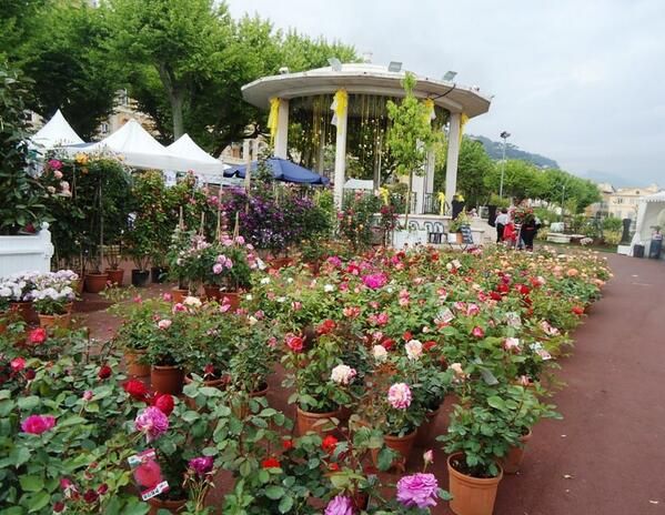 Costa Azzurra: torna a Grasse “Una primavera in giardino”