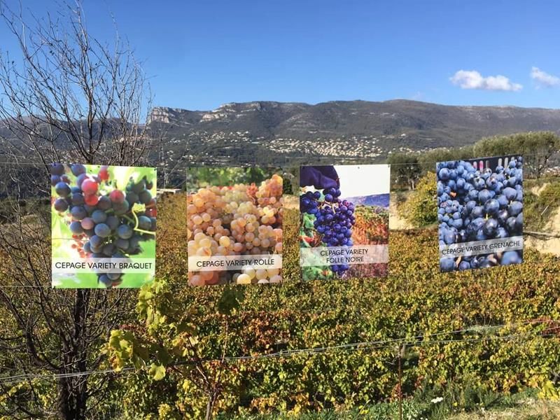 Costa Azzurra: alla scoperta del Domaine La Source (Foto)