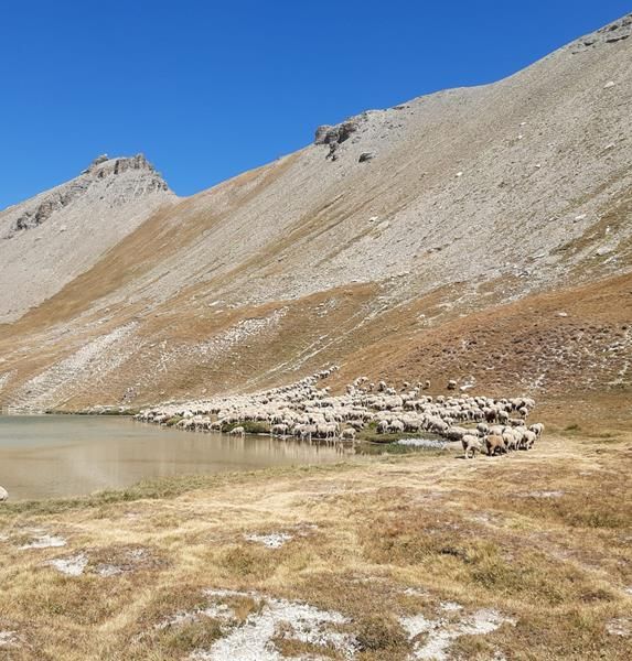 Paca: alla scoperta del Lac de la Reculaye
