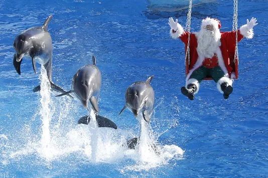 A Marineland è già Natale!