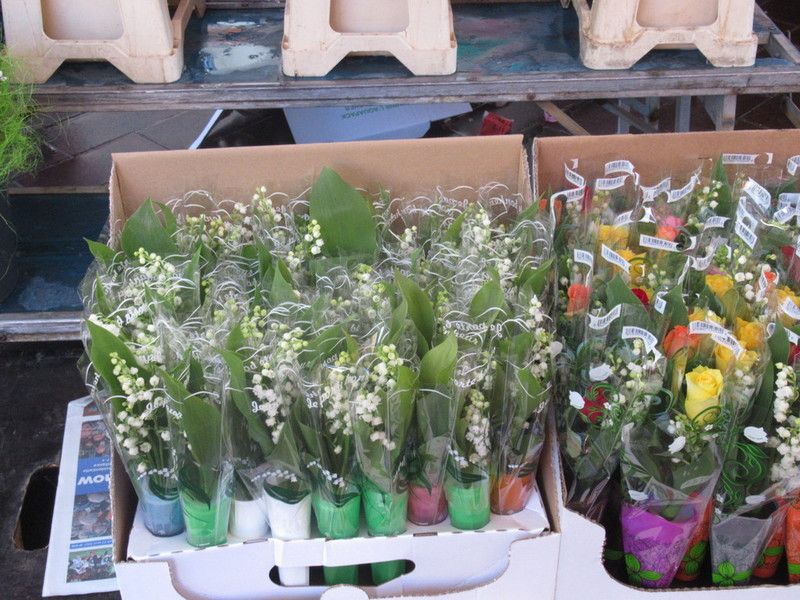 Mughetto, sarà il fiore della ripartenza!
