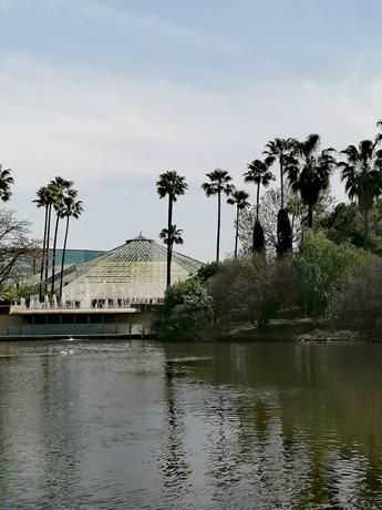 Nizza: alla scoperta del Parc Phoenix (Foto)