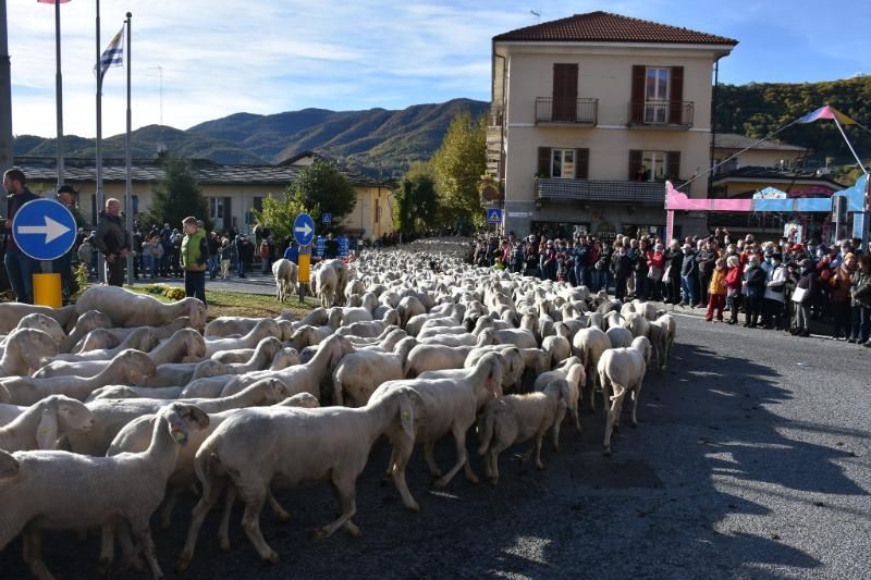 Attesa a Luserna San Giovanni per l’1 e il 2 novembre, la Fiera dei Santi inizierà già oggi