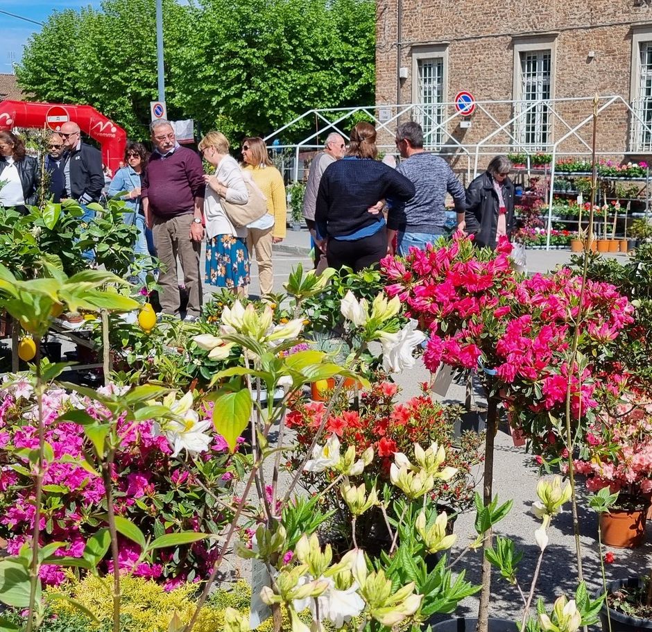 Vigone (TO): quest’anno anche la moda scende in piazza per Vigoflor