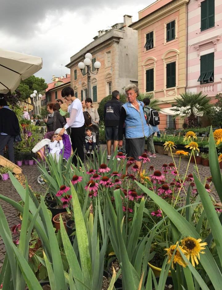 Celle Ligure (SV): il prossimo week end torna &quot;FIORI FRUTTA QUALITÀ&quot;