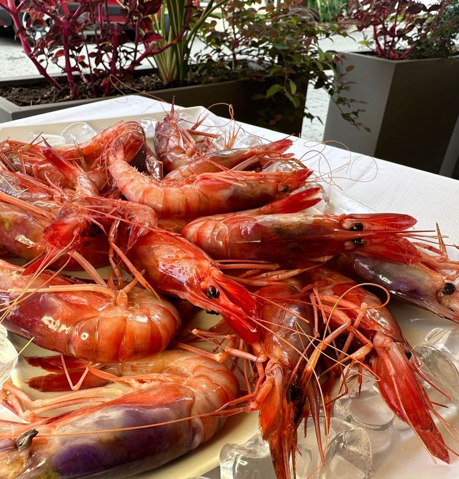 Il ristorante Gànbou a Bordighera è il nuovo indirizzo per gustare il pesce fresco.