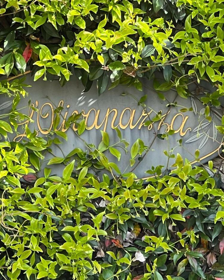 Cipressa: due serate a tema al Ristorante Olivapazza. Cucina vegana e un omaggio a Fabrizio de Andrè