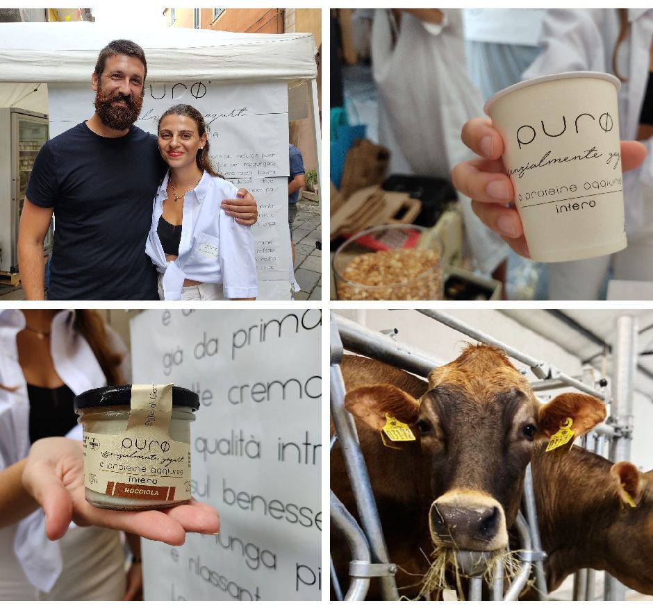 Nel cuore di Pieve di Teco è nato PurØ: &quot;Lo yogurt naturale dal gusto genuino che punta sulla qualità e rispetta il benessere animale&quot; (Foto e Video)