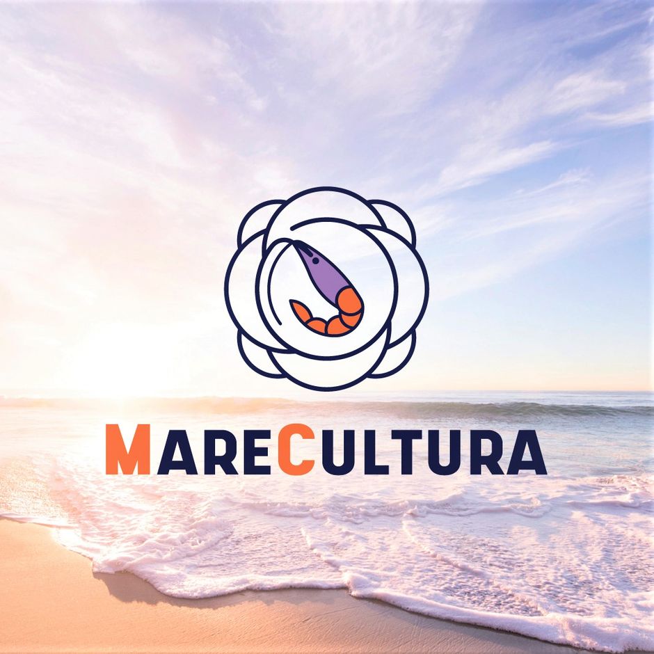 SANREMO: “MareCultura - La Festa del Porto, del Territorio e dell’Eccellenza Artigiana”  sabato e domanica 17-18 a Porto Vecchio
