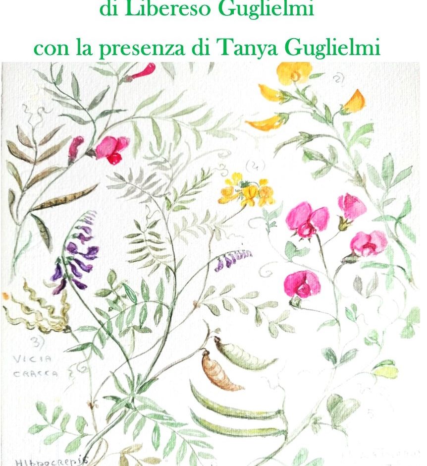 Carpasio &quot;La magia delle piccole cose&quot; di Libereso Guglielmi al Museo della lavanda di Carpasio dal 12 luglio al 31 agosto.