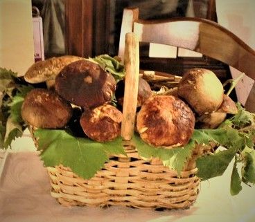 Badalucco: il fungo torna a essere grande protagonista presso Le Macine del Confluente.