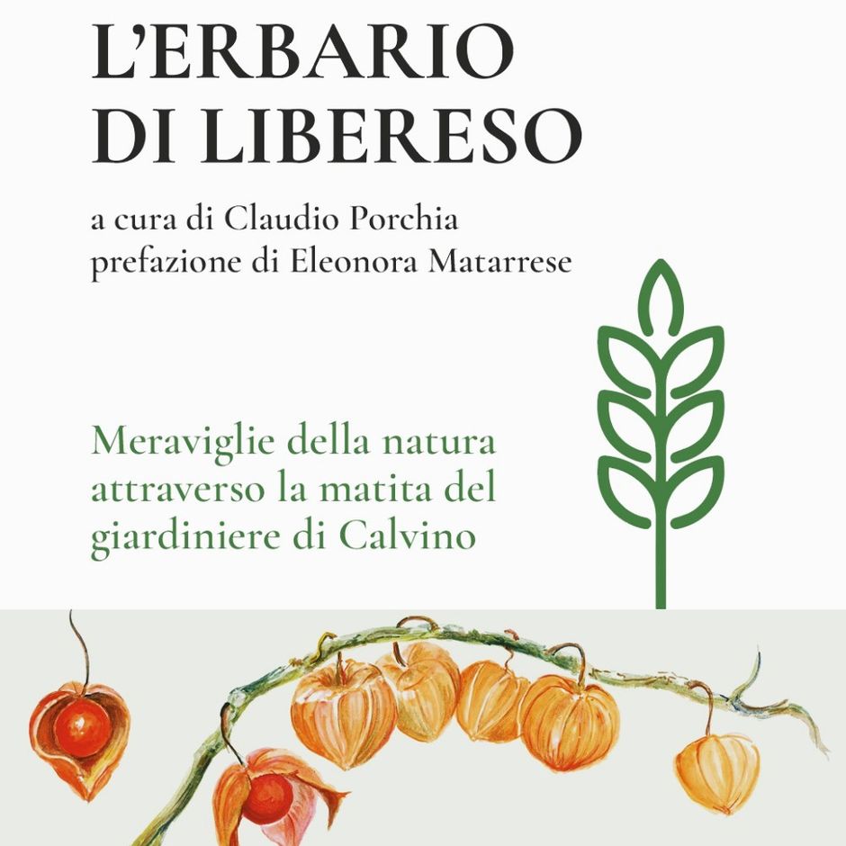 Carpasio &quot;La magia delle piccole cose&quot; di Libereso Guglielmi al Museo della lavanda di Carpasio dal 12 luglio al 31 agosto.