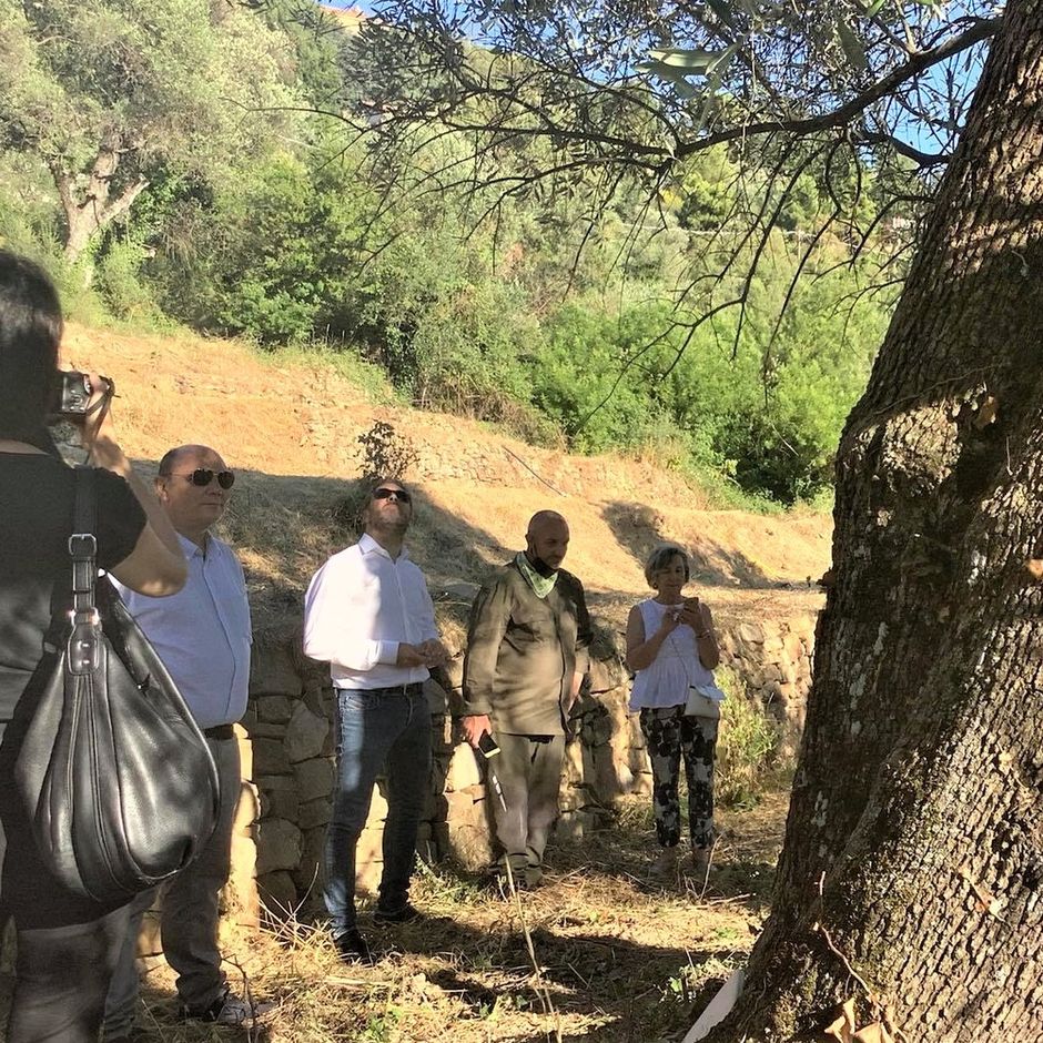 Seborga: nasce il nuovo presidio Slow food dedicato all'olio di Seborga prodotto dalla fattoria dei Monaci Templari.