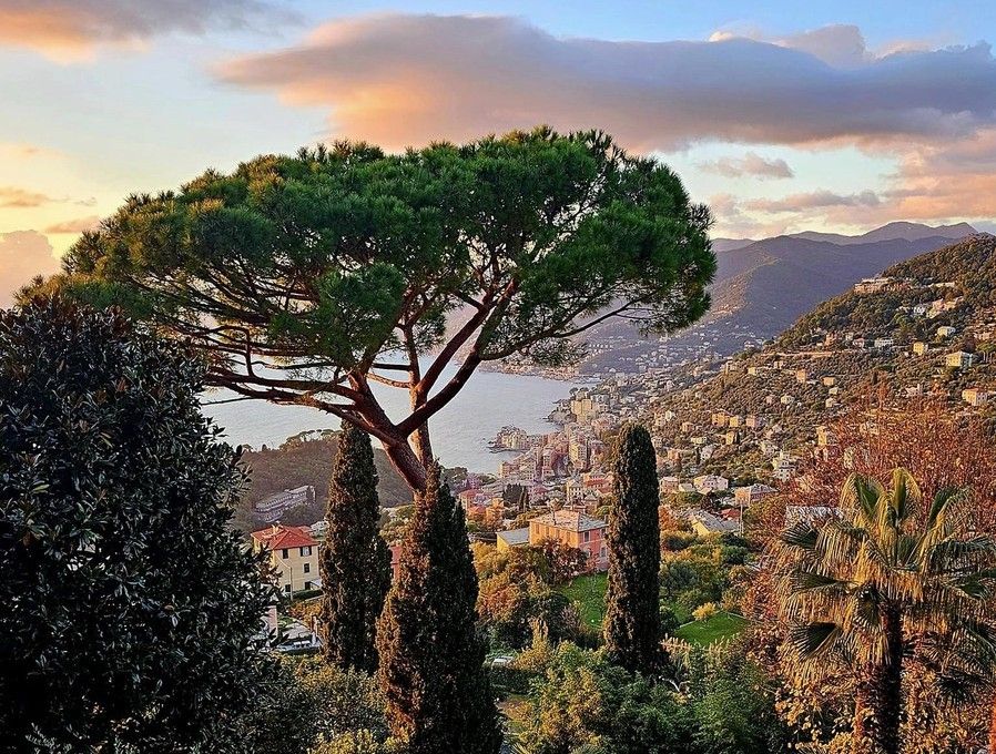 Non solo mare: cosa fare a Genova e dintorni a Ferragosto