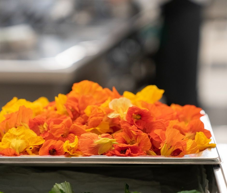 Alassio, arriva il Festival Nazionale Cucina con i Fiori: grande fermento fra gli chef della città