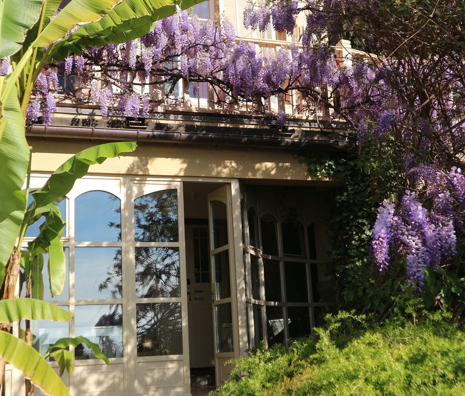 Albenga: i Glicini di Villa della Pergola al centro di una conferenza di Alessandra Ricci