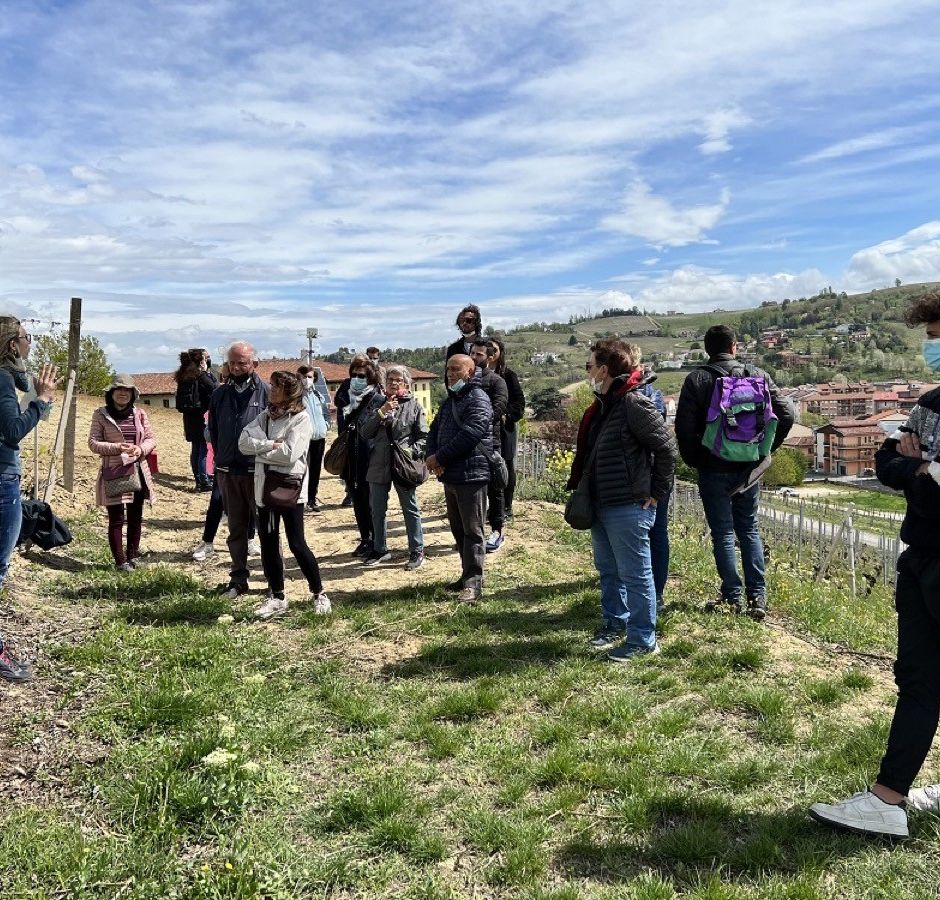 Alba, in cento al “Picnic in vigna” promosso dal Comune
