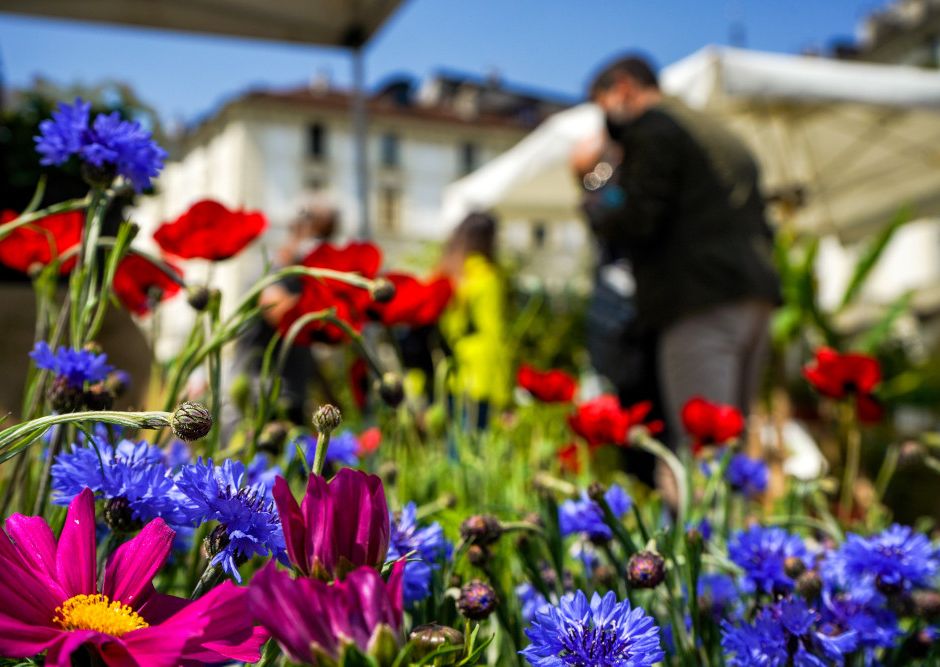 Torino: domenica in piazza Vittorio Veneto torna l'appuntamento con Agriflor