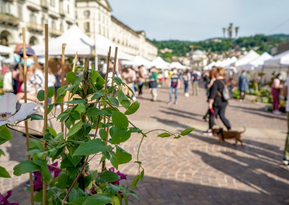 Torino: domenica 22 dicembre l'ultimo appuntamento del 2024 con Agriflor